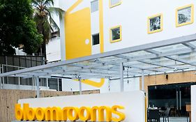 Bloomrooms @ Indiranagar